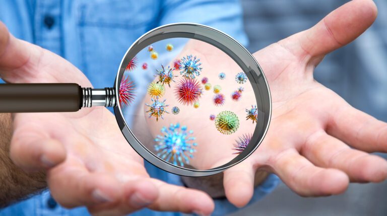 bacteria rich