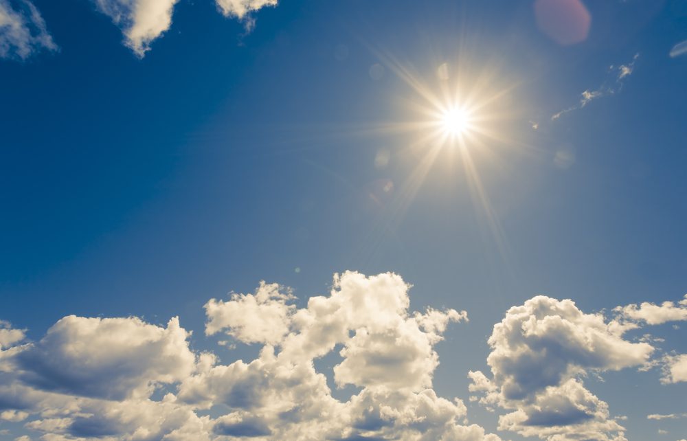vitamin d