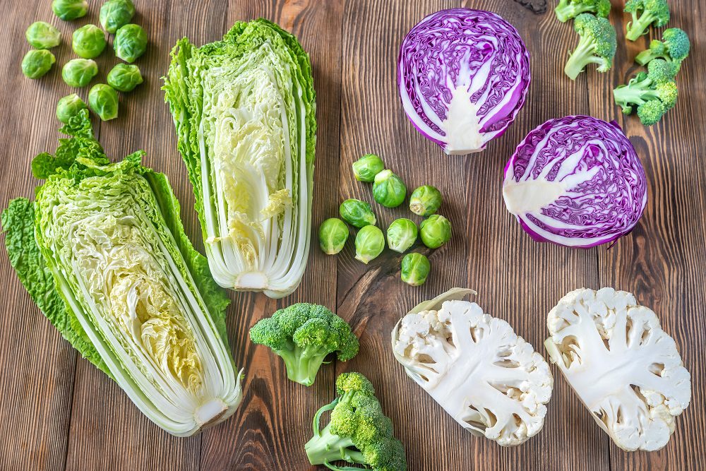 cancer diet