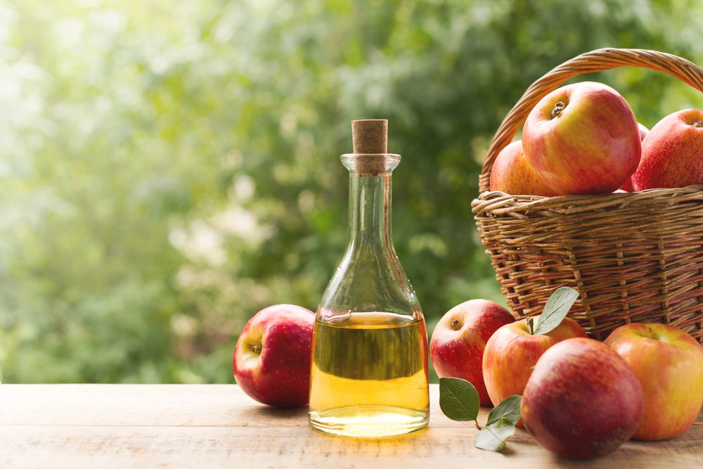 fat-burning food