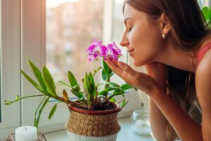 plants for lungs