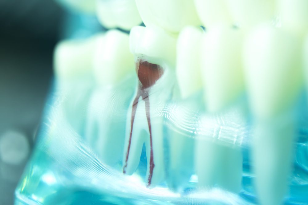 dentist