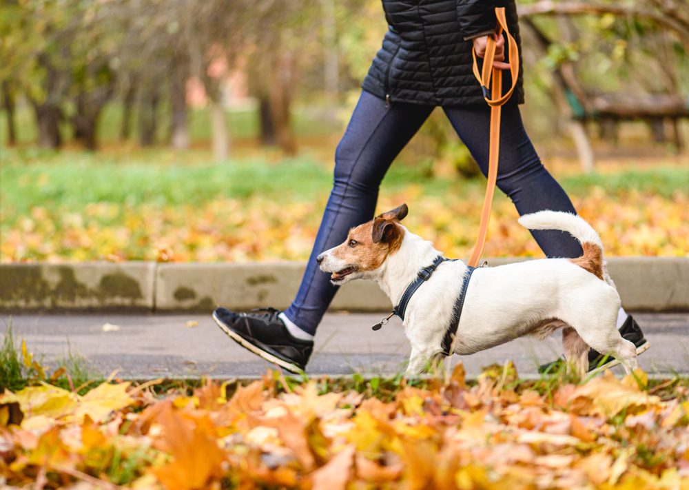 prevent urinary incontinence