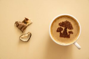 mushroom coffee