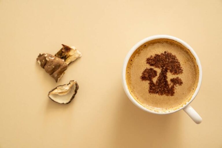 mushroom coffee