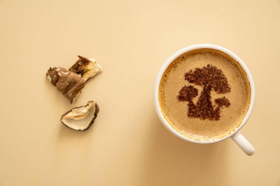mushroom coffee