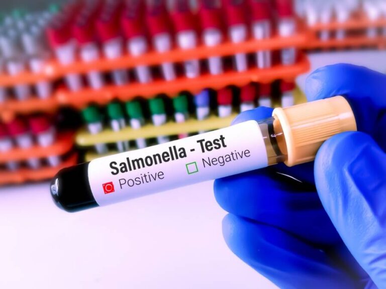 salmonella poisoning