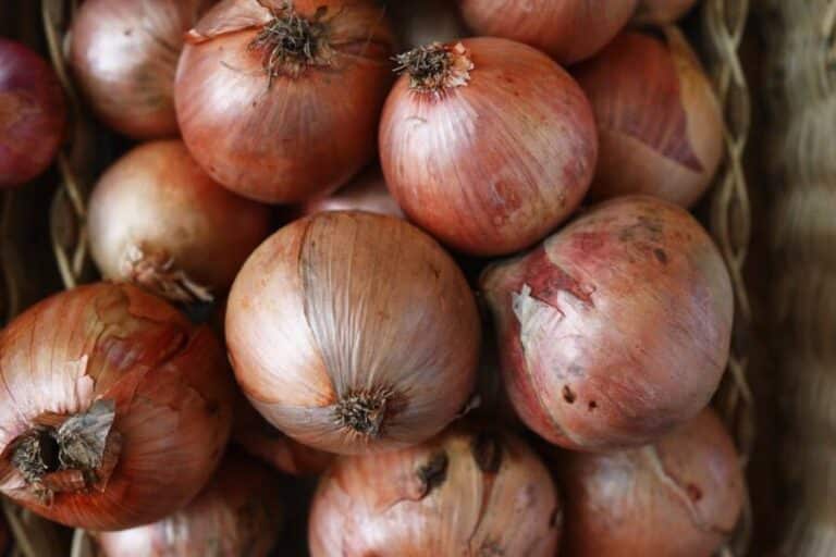 onions