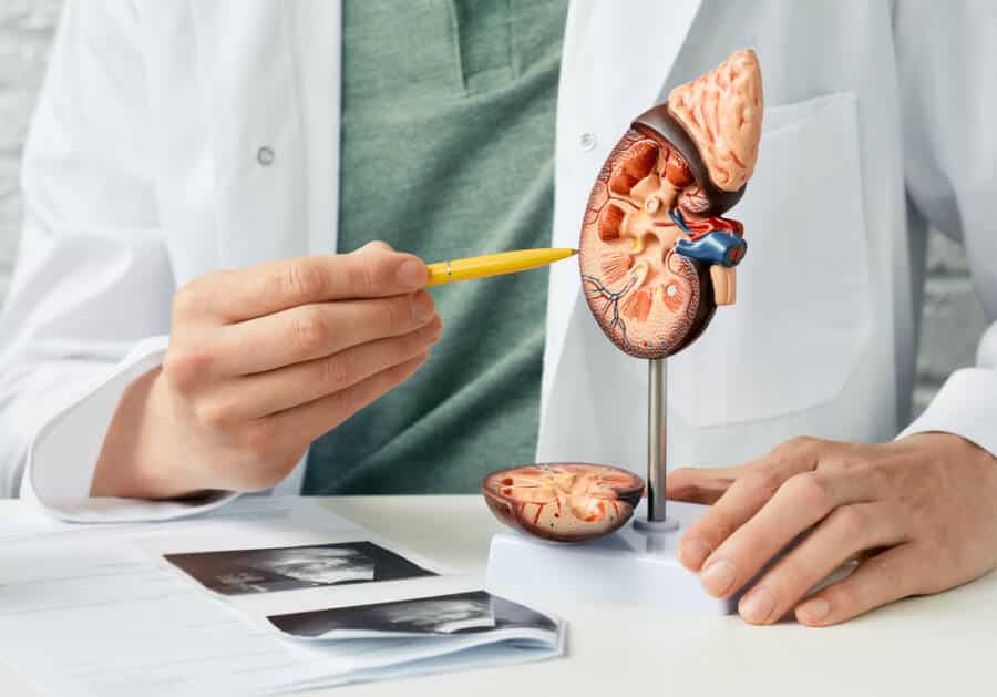 types of cancer