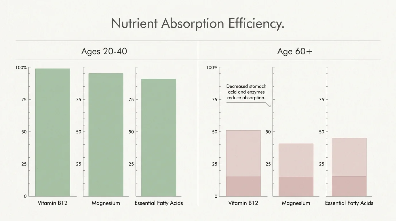 A comparison chart showing how the absorption of B12, Magnesium, and Fatty Acids decreases as people age.