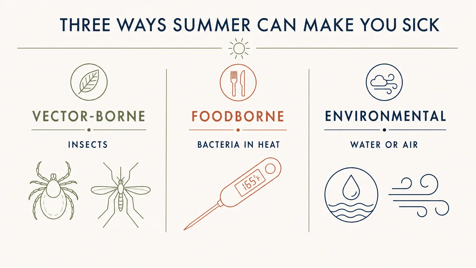 A clean infographic categorizing summer illnesses into vector-borne, foodborne, and environmental types.