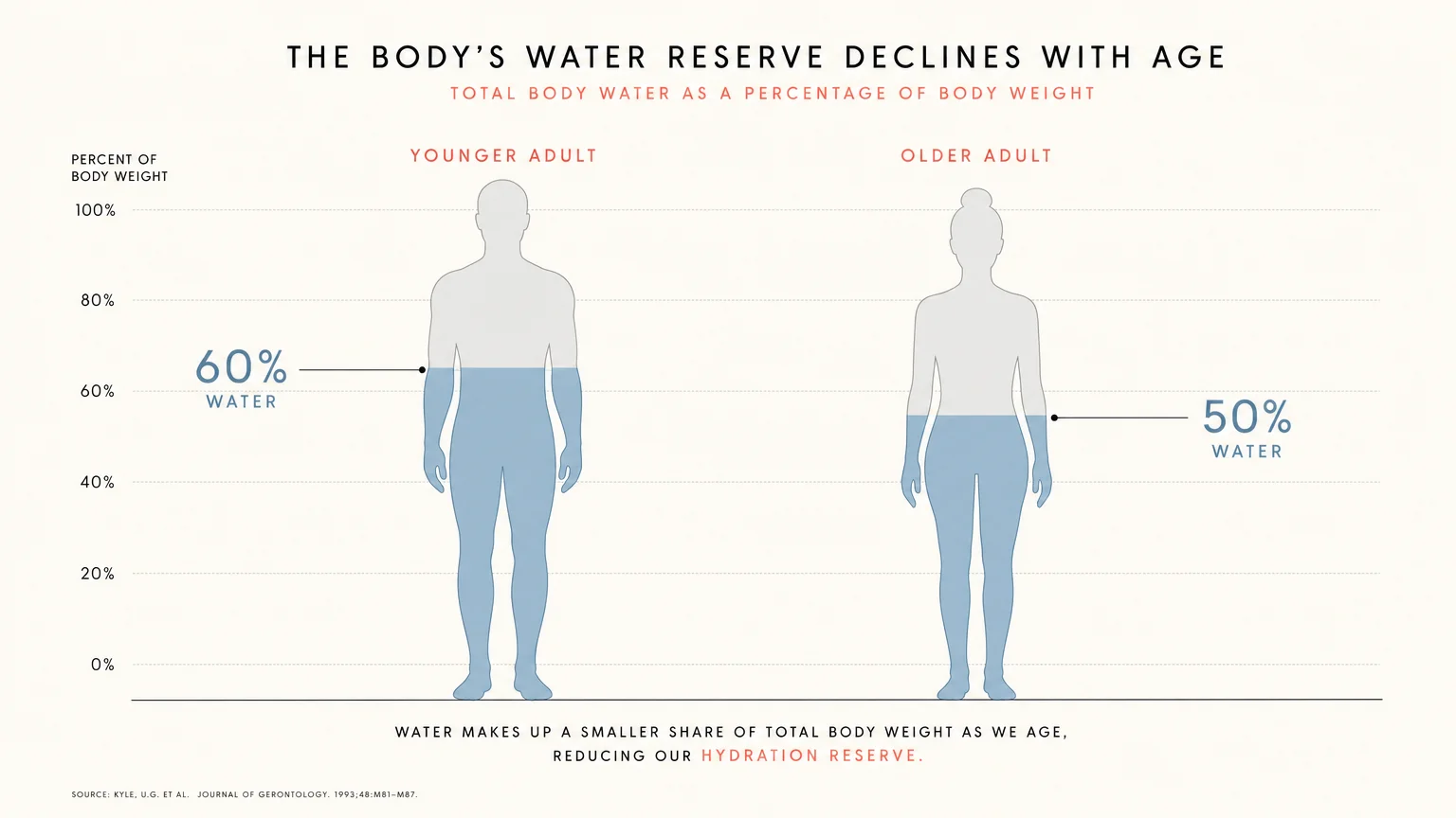 A minimalist infographic comparing water body composition: 60 percent water in younger adults versus 50 percent in older adults.