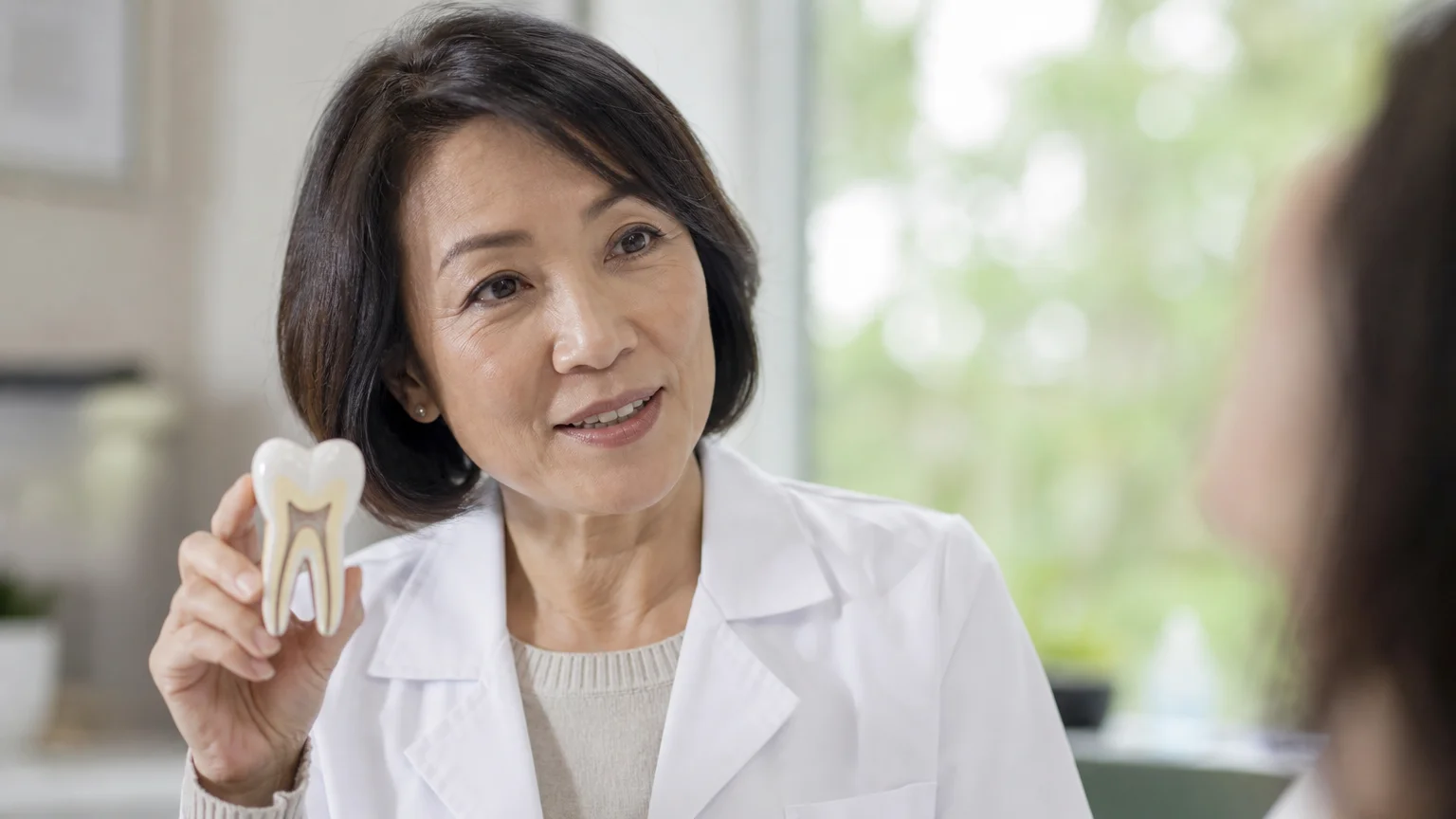 An experienced female dentist providing professional advice in a bright, modern clinic setting.