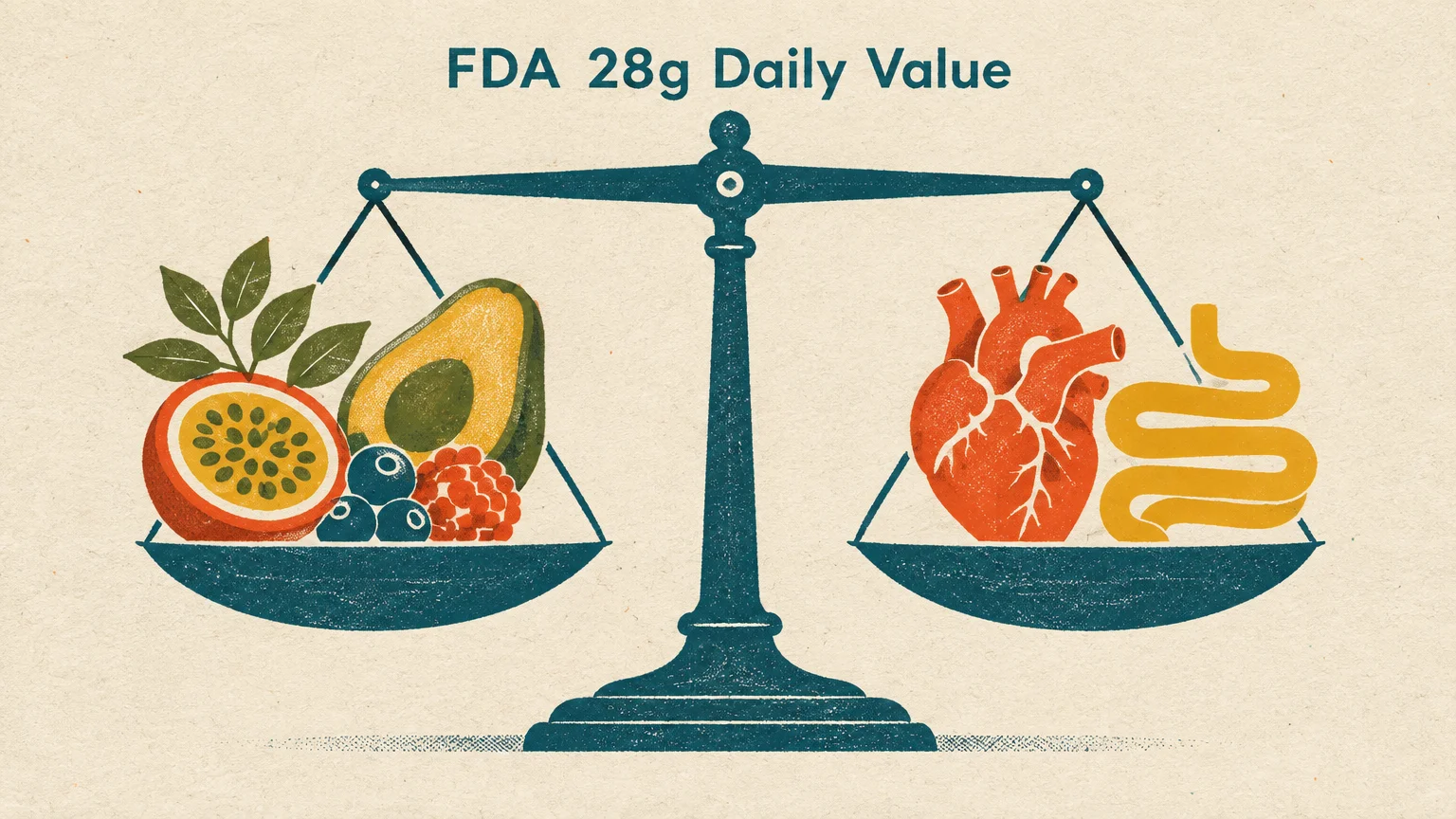 Balance scale weighing fruit on one side against an anatomical heart and intestines under FDA 28g Daily Value text.